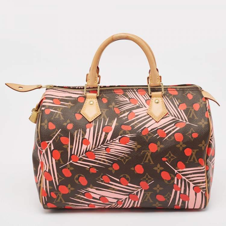 Pre Owned Louis Vuitton Monogram Canvas Limited Edition Jungle Dots Speedy 30 Bag