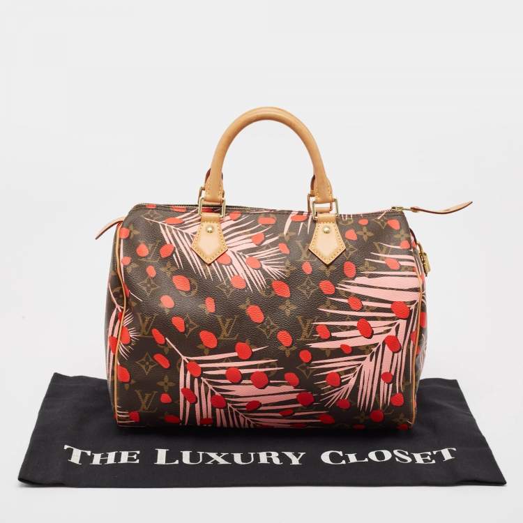 Pre Owned Louis Vuitton Monogram Canvas Limited Edition Jungle Dots Speedy 30 Bag