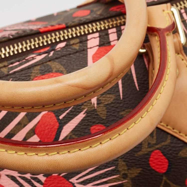 Pre Owned Louis Vuitton Monogram Canvas Limited Edition Jungle Dots Speedy 30 Bag