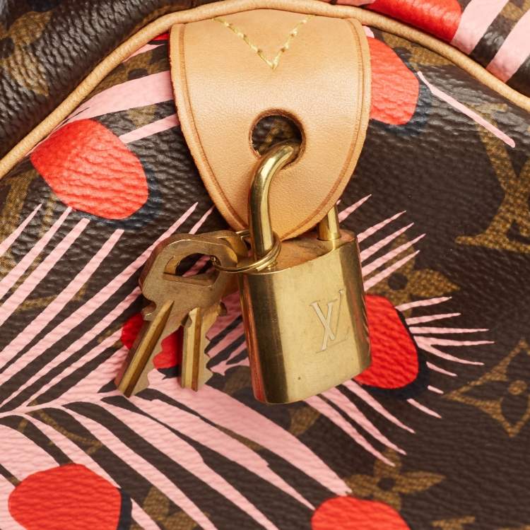 Pre Owned Louis Vuitton Monogram Canvas Limited Edition Jungle Dots Speedy 30 Bag