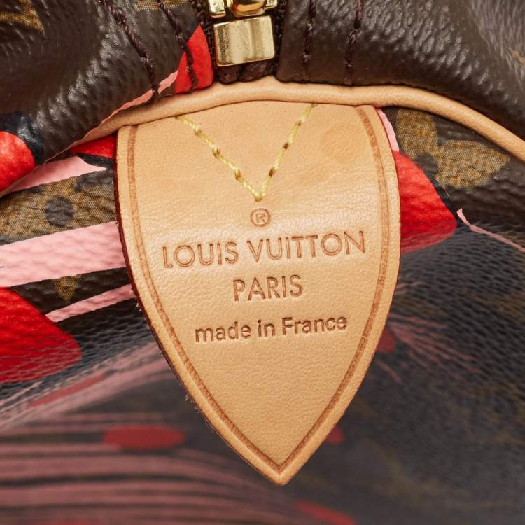 Pre Owned Louis Vuitton Monogram Canvas Limited Edition Jungle Dots Speedy 30 Bag