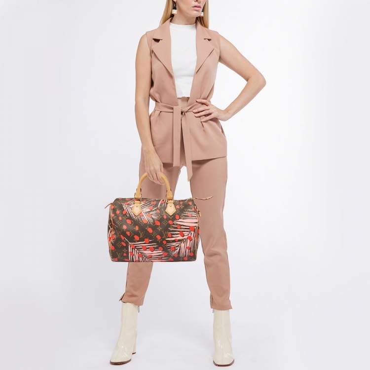 Pre Owned Louis Vuitton Monogram Canvas Limited Edition Jungle Dots Speedy 30 Bag