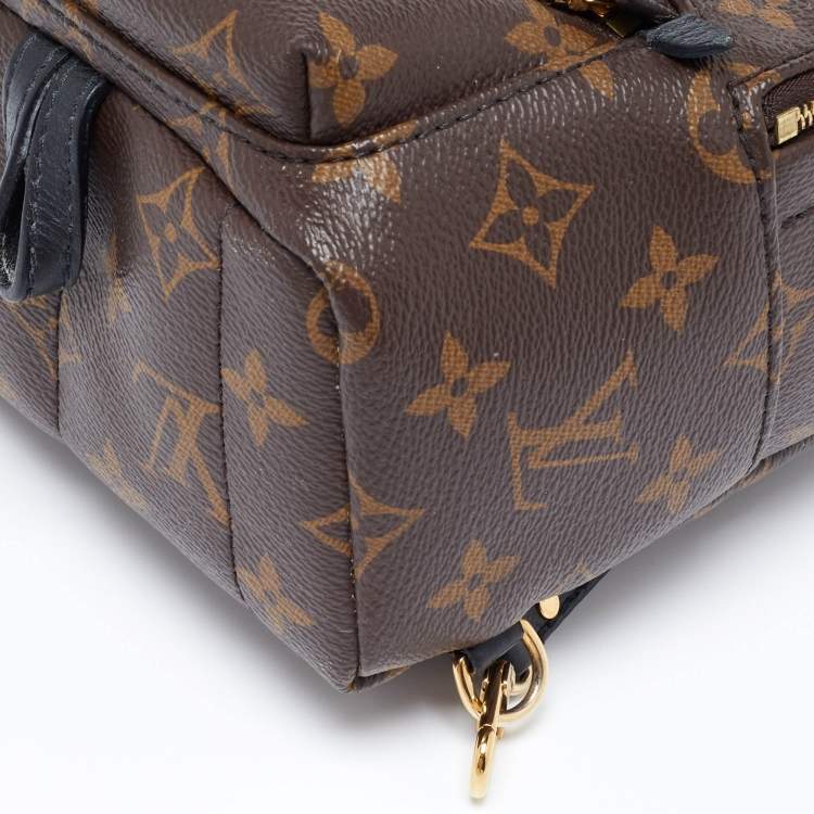 Pre Owned Louis Vuitton Monogram Canvas Palm Springs Mini Backpack