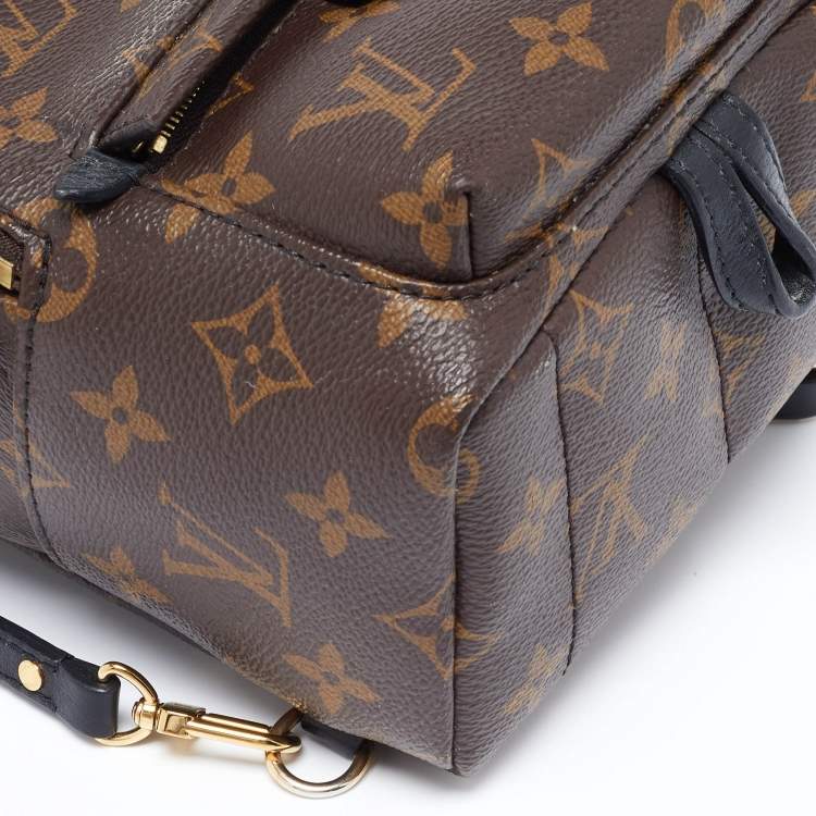 Pre Owned Louis Vuitton Monogram Canvas Palm Springs Mini Backpack