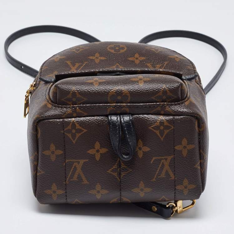 Pre Owned Louis Vuitton Monogram Canvas Palm Springs Mini Backpack