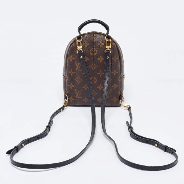 Pre Owned Louis Vuitton Monogram Canvas Palm Springs Mini Backpack