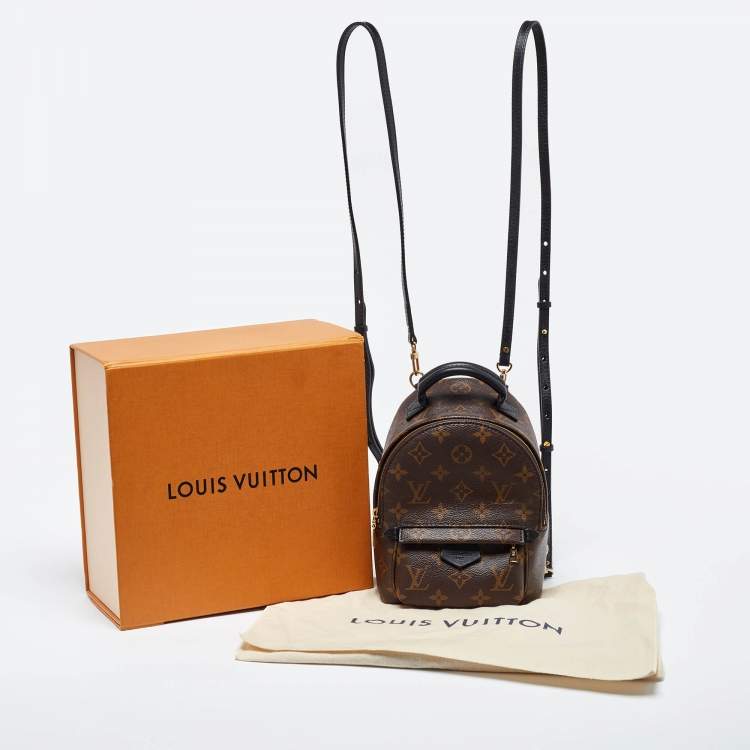 Pre Owned Louis Vuitton Monogram Canvas Palm Springs Mini Backpack