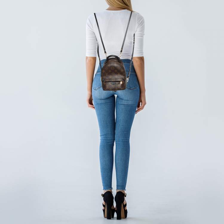 Pre Owned Louis Vuitton Monogram Canvas Palm Springs Mini Backpack