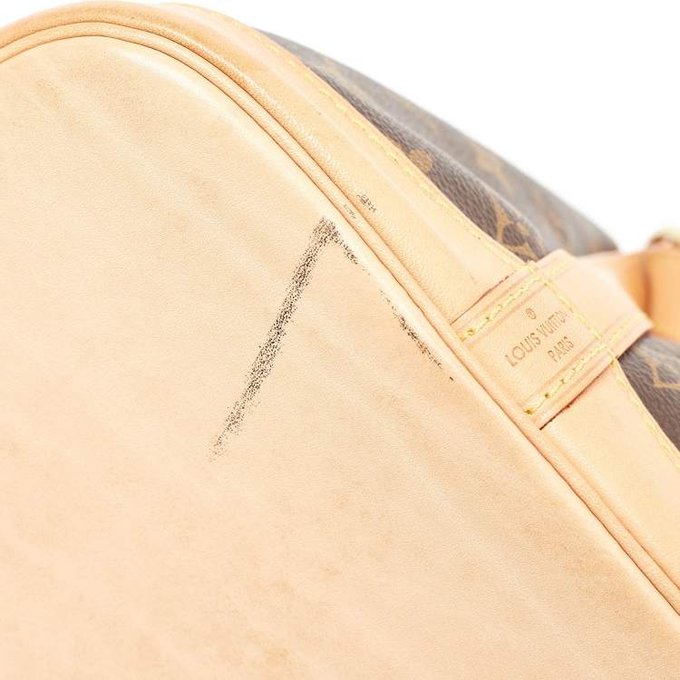 Pre Owned Louis Vuitton Monogram Canvas Petit Noe Bag