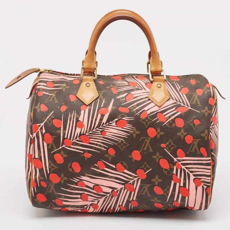 Pre Owned Louis Vuitton Monogram Canvas Limited Edition Jungle Dots Speedy 30