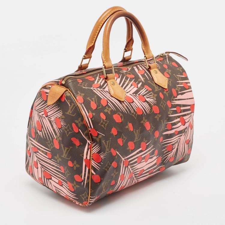 Pre Owned Louis Vuitton Monogram Canvas Limited Edition Jungle Dots Speedy 30