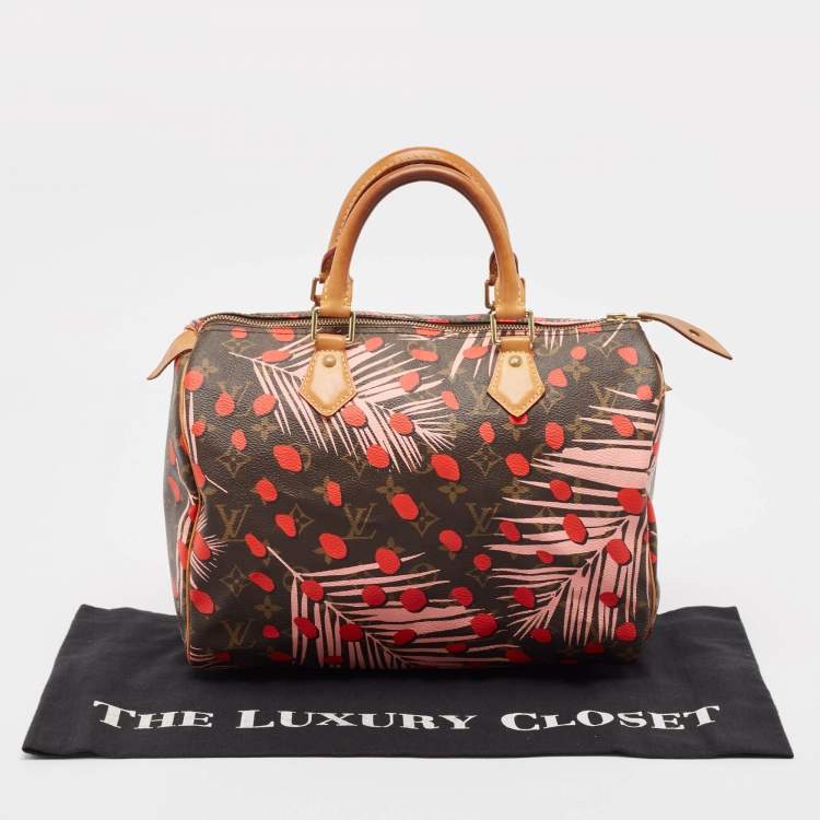 Pre Owned Louis Vuitton Monogram Canvas Limited Edition Jungle Dots Speedy 30