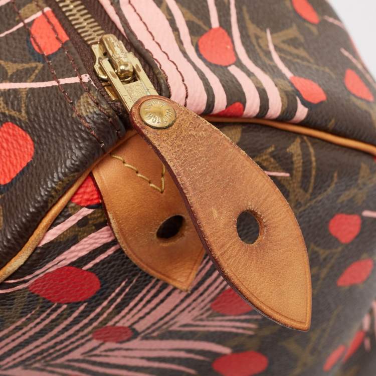Pre Owned Louis Vuitton Monogram Canvas Limited Edition Jungle Dots Speedy 30