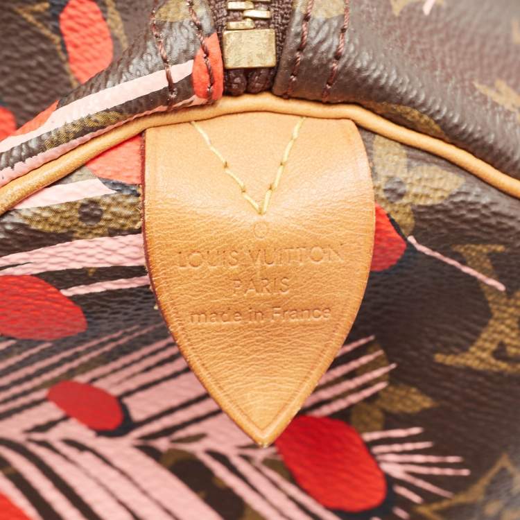Pre Owned Louis Vuitton Monogram Canvas Limited Edition Jungle Dots Speedy 30