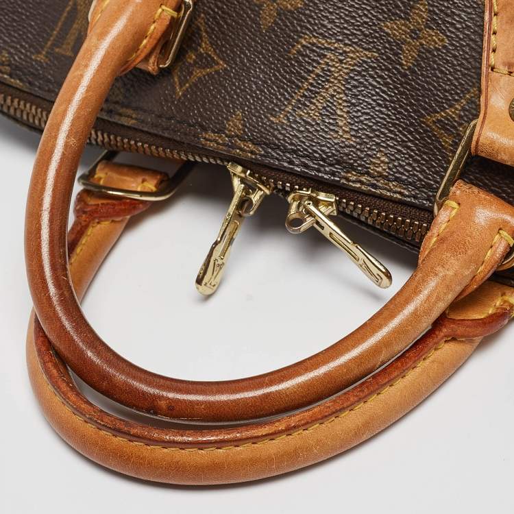Pre Owned Louis Vuitton Monogram Canvas Alma PM Bag