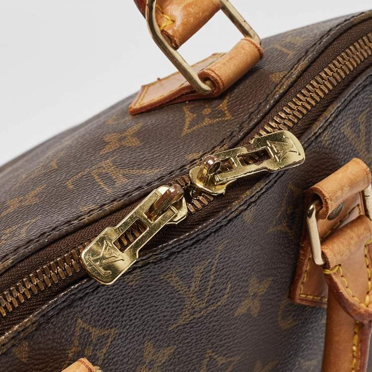 Pre Owned Louis Vuitton Monogram Canvas Alma PM Bag