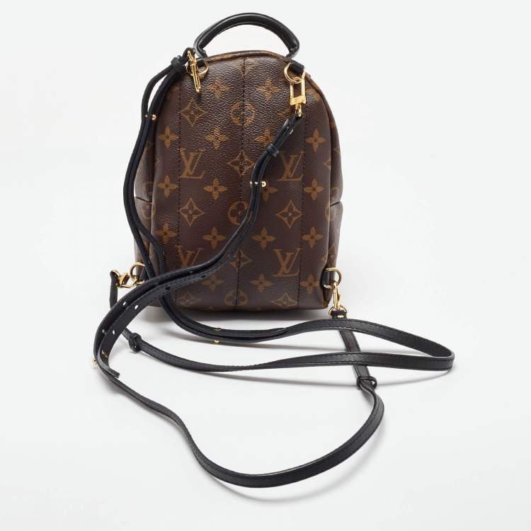 Pre Owned Louis Vuitton Monogram Canvas Mini Palm Springs Backpack