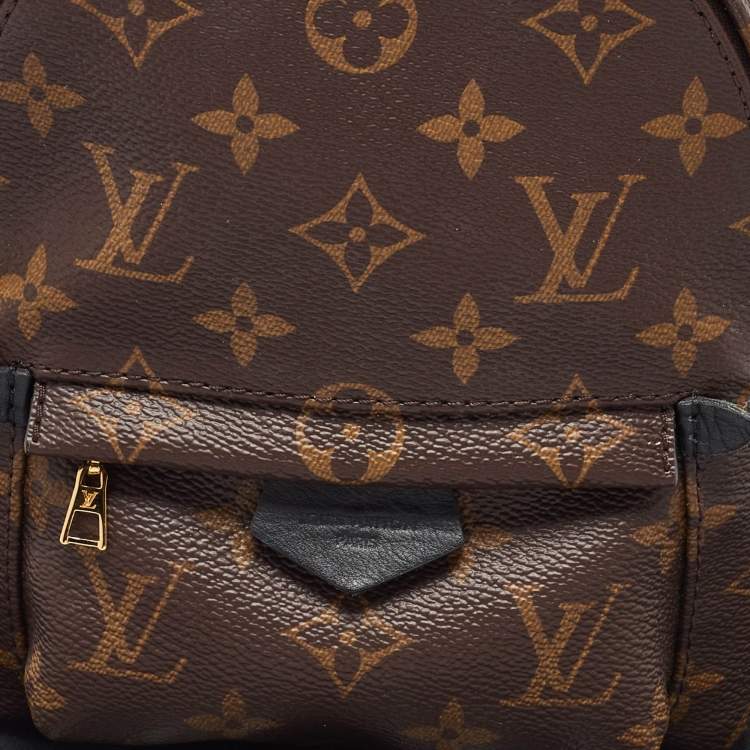 Pre Owned Louis Vuitton Monogram Canvas Mini Palm Springs Backpack