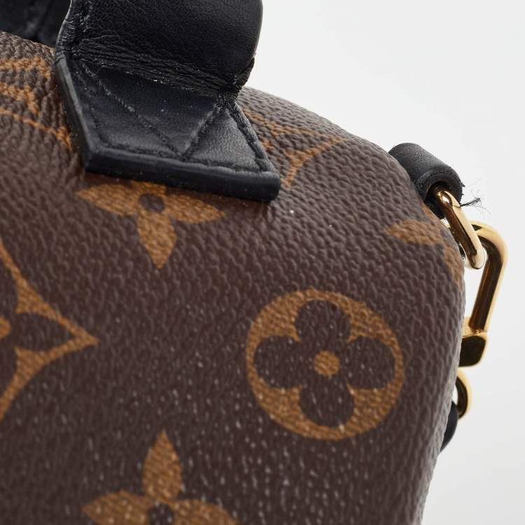 Pre Owned Louis Vuitton Monogram Canvas Mini Palm Springs Backpack