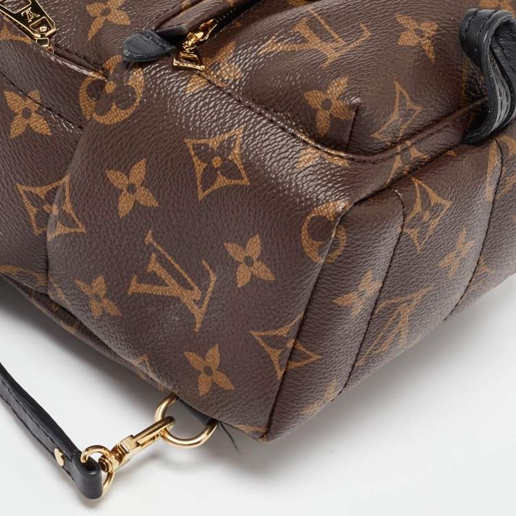 Pre Owned Louis Vuitton Monogram Canvas Mini Palm Springs Backpack