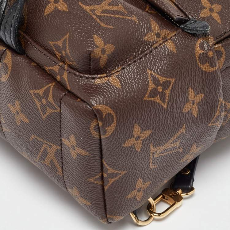 Pre Owned Louis Vuitton Monogram Canvas Mini Palm Springs Backpack