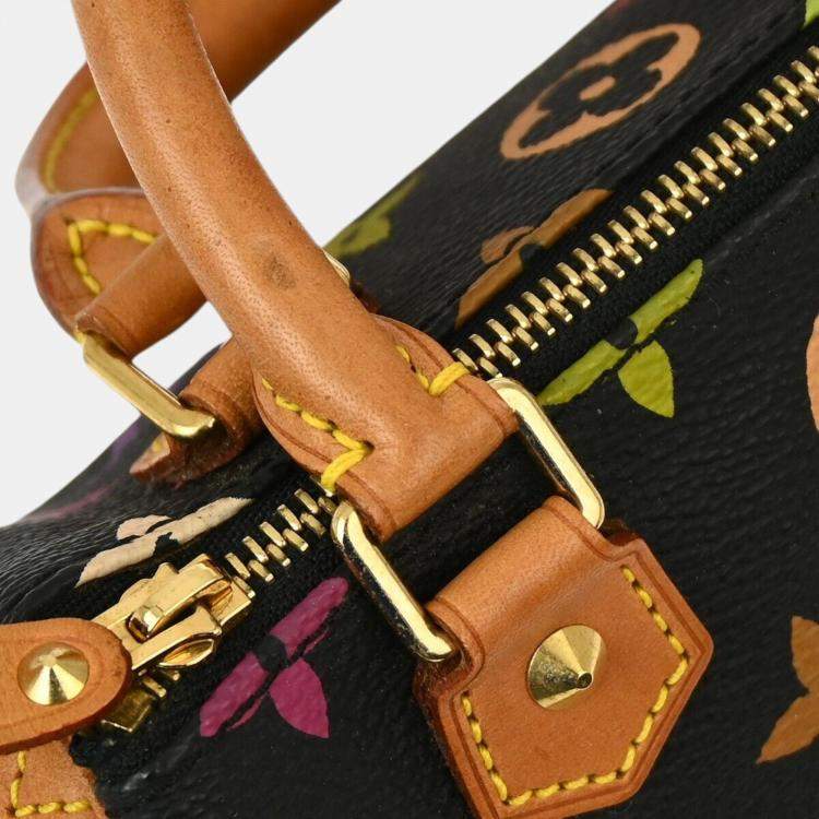 Pre Owned Louis Vuitton Black Multicolor Mini Speedy Handbag