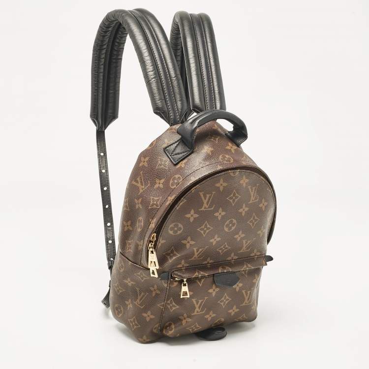 Pre Owned Louis Vuitton Monogram Canvas Palm Springs PM Backpack