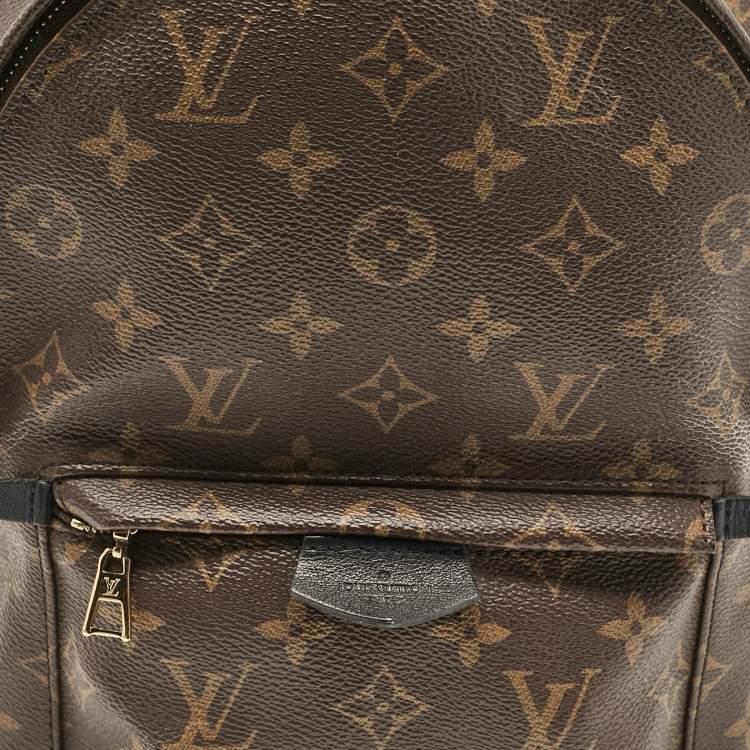 Pre Owned Louis Vuitton Monogram Canvas Palm Springs PM Backpack