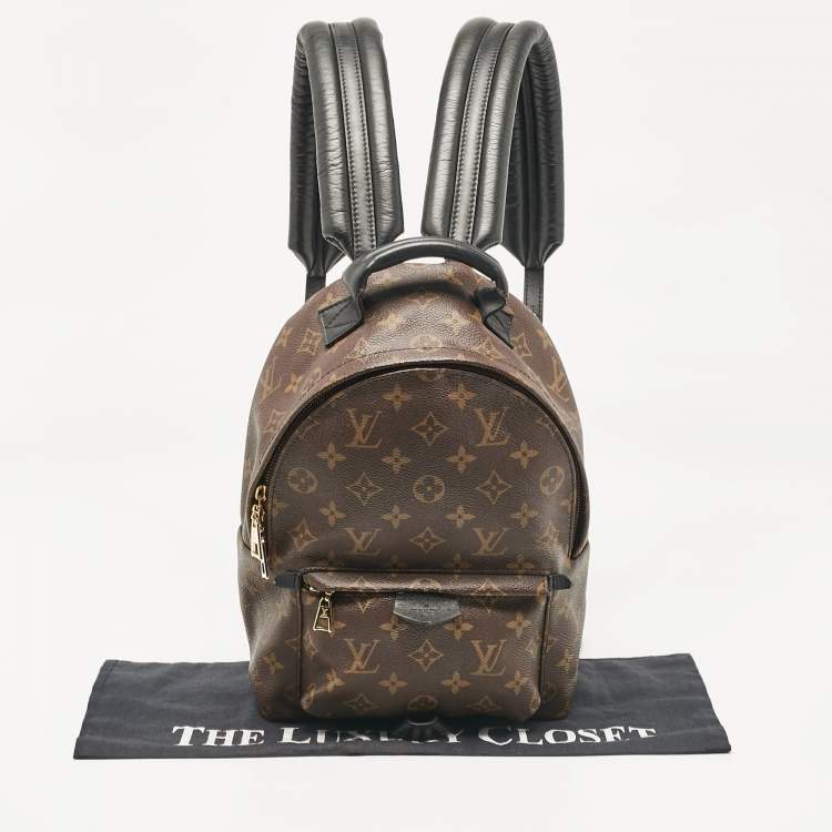 Pre Owned Louis Vuitton Monogram Canvas Palm Springs PM Backpack