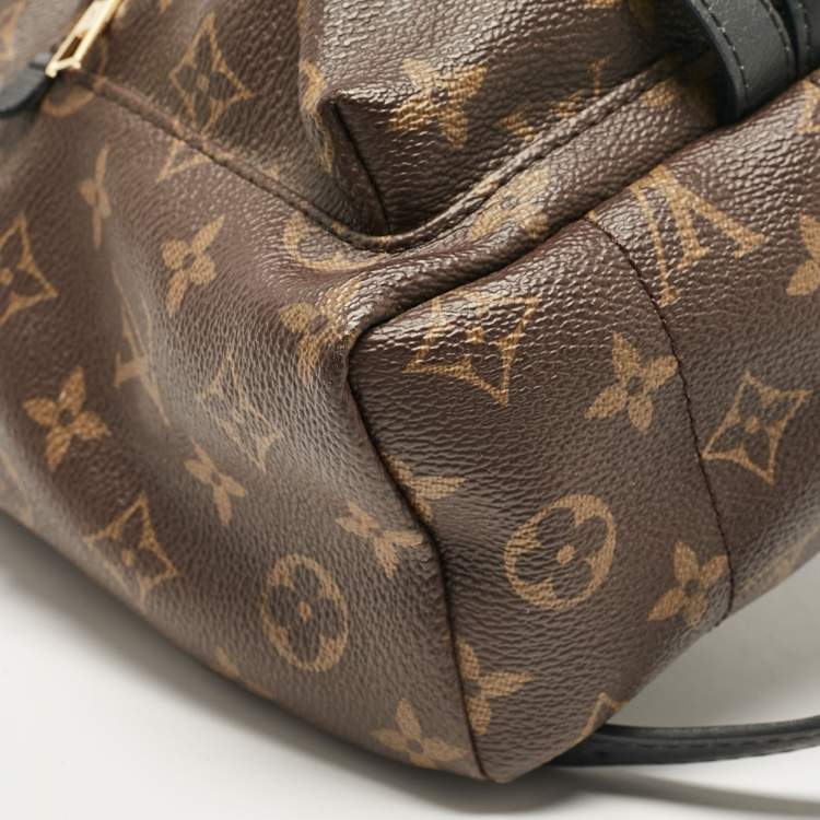 Pre Owned Louis Vuitton Monogram Canvas Palm Springs PM Backpack