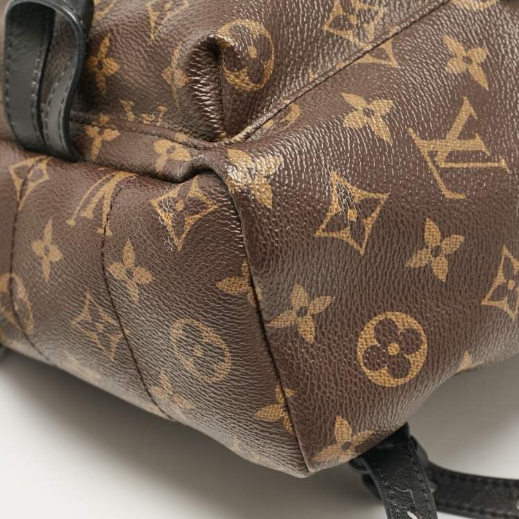 Pre Owned Louis Vuitton Monogram Canvas Palm Springs PM Backpack