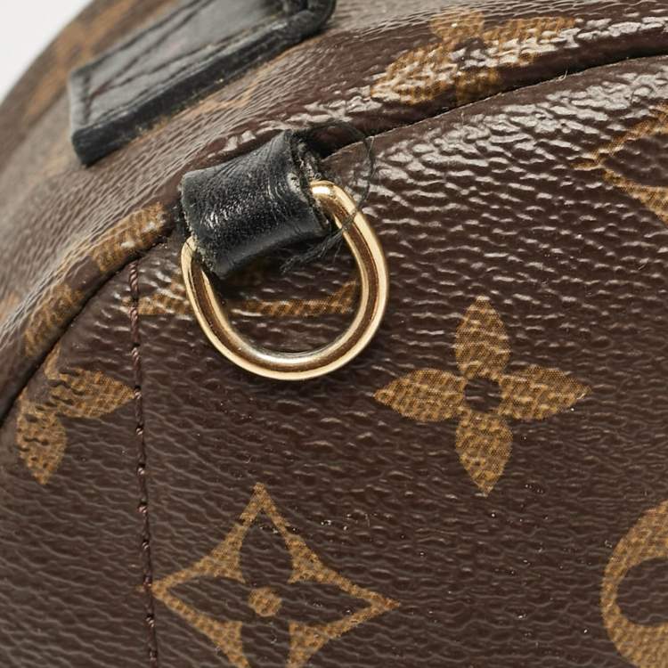 Pre Owned Louis Vuitton Monogram Canvas Mini Palm Springs Backpack