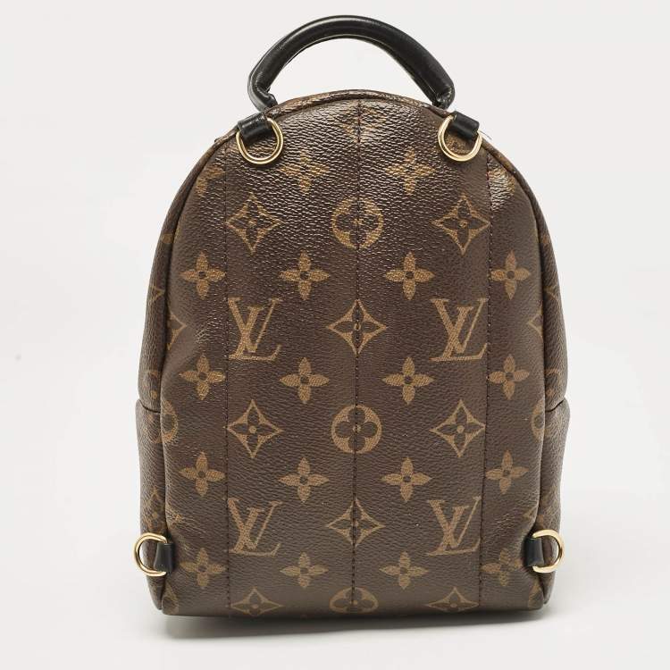 Pre Owned Louis Vuitton Monogram Canvas Mini Palm Springs Backpack
