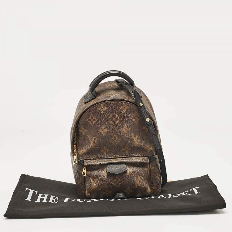Pre Owned Louis Vuitton Monogram Canvas Mini Palm Springs Backpack