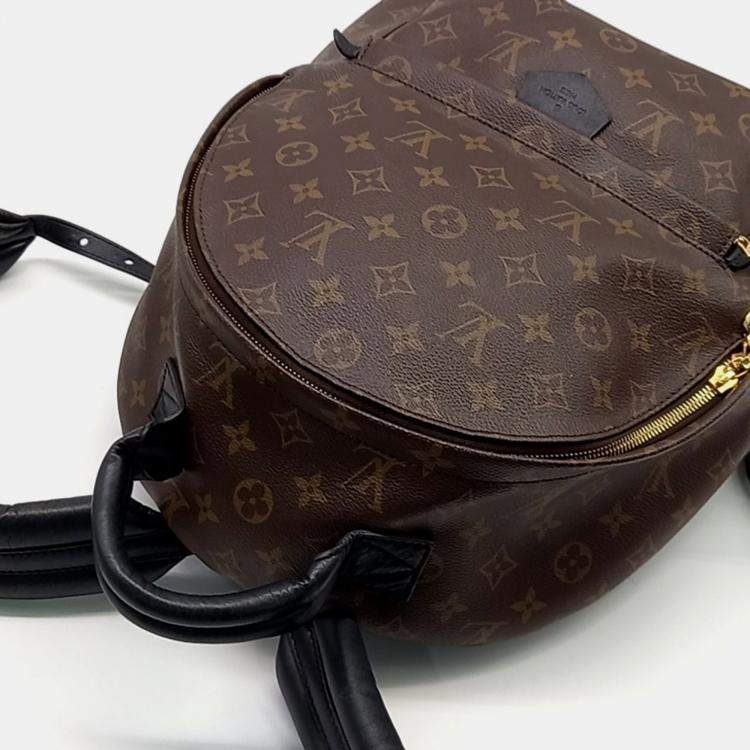 Pre Owned Louis Vuitton Monogram Palm Springs Backpack MM