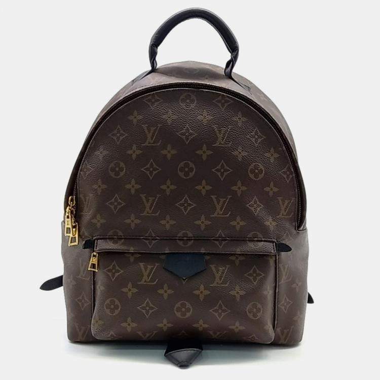 Pre Owned Louis Vuitton Monogram Palm Springs Backpack MM