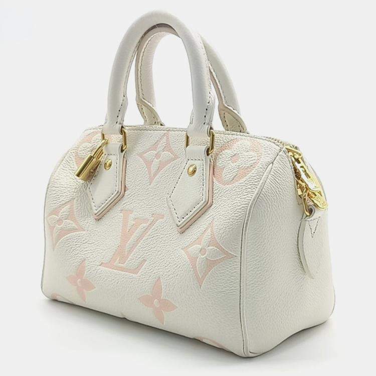 lv speedy bag