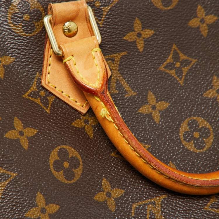 Pre Owned Louis Vuitton Monogram Canvas Speedy 30 Bag