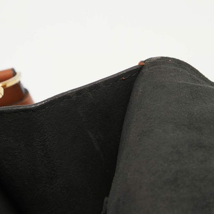 Pre Owned Louis Vuitton Monogram/Monogram Reverse Canvas Dauphine MM Bag