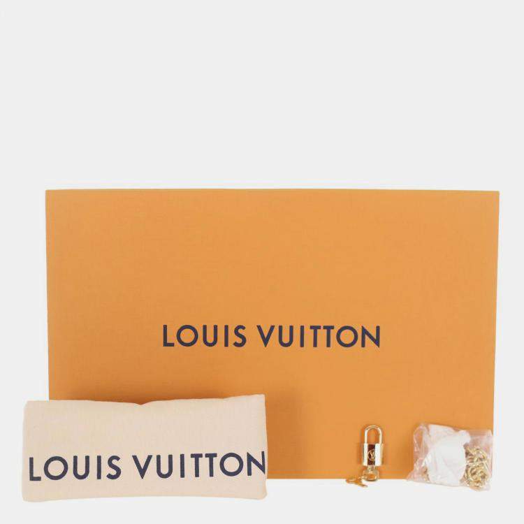 Pre Owned Louis Vuitton City Steamer Pochette Bag