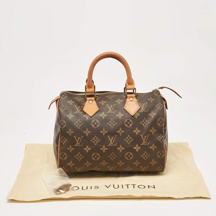 Pre Owned Louis Vuitton Monogram Canvas Speedy 25 Bag