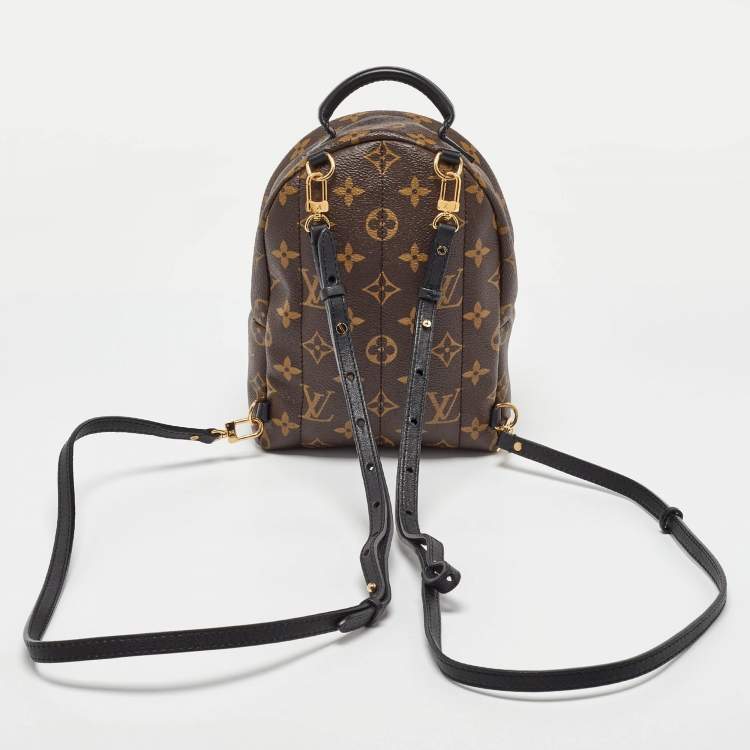Pre Owned Louis Vuitton Monogram Canvas Mini Palm Springs Backpack
