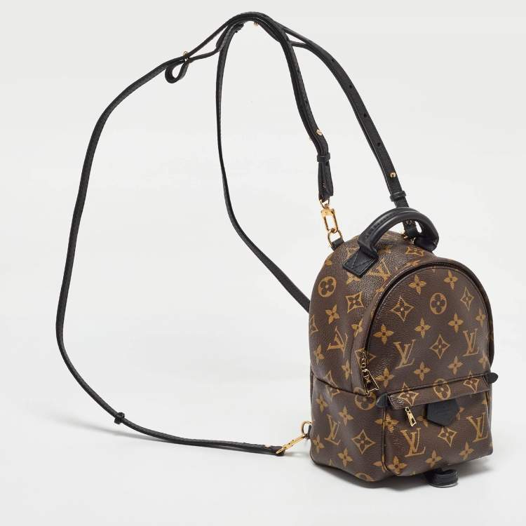 Pre Owned Louis Vuitton Monogram Canvas Mini Palm Springs Backpack