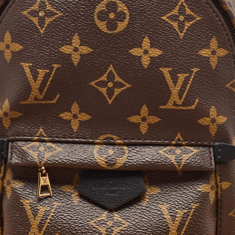 Pre Owned Louis Vuitton Monogram Canvas Mini Palm Springs Backpack