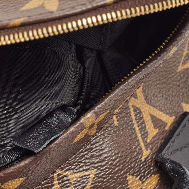 Pre Owned Louis Vuitton Monogram Canvas Mini Palm Springs Backpack