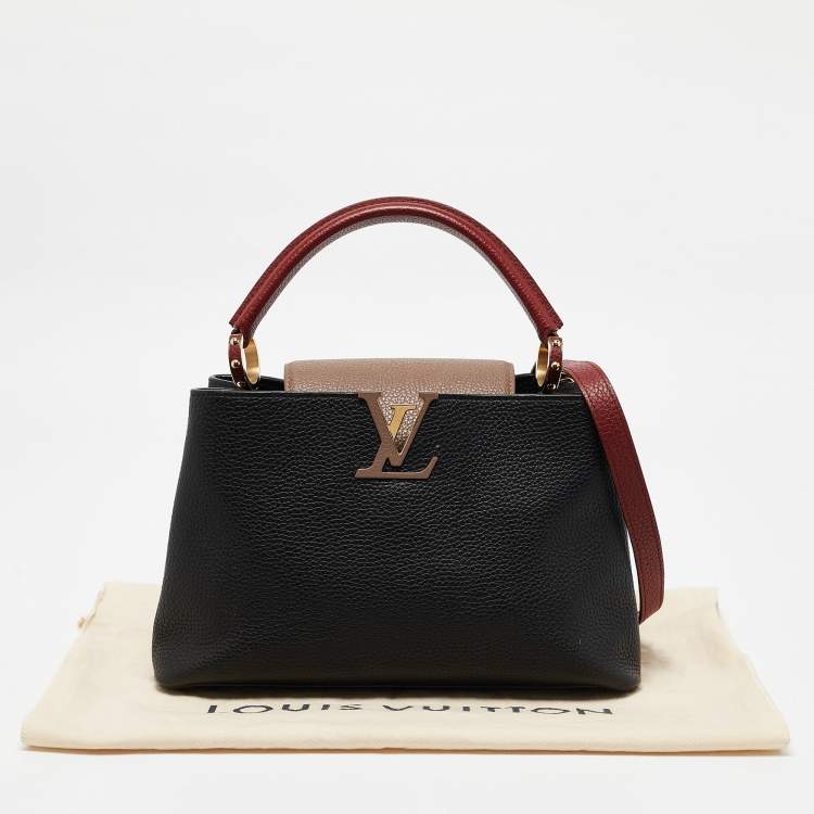 Pre Owned Louis Vuitton Multicolor Taurillon Leather Capucines PM Bag