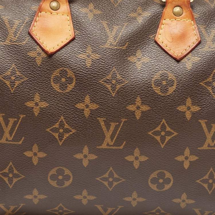Pre Owned Louis Vuitton Monogram Canvas Speedy 25 Bag