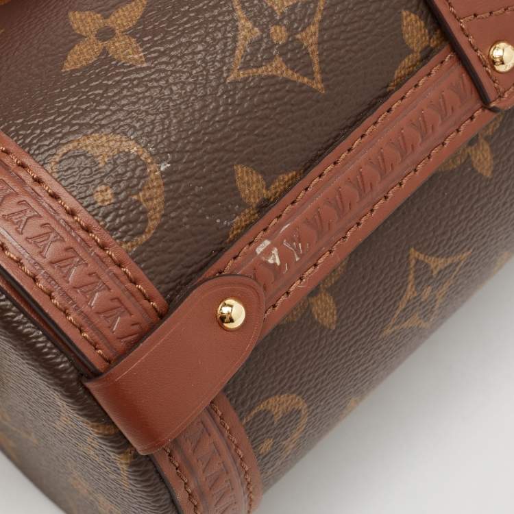 Pre Owned Louis Vuitton Monogram Canvas Papillon Trunk Bag