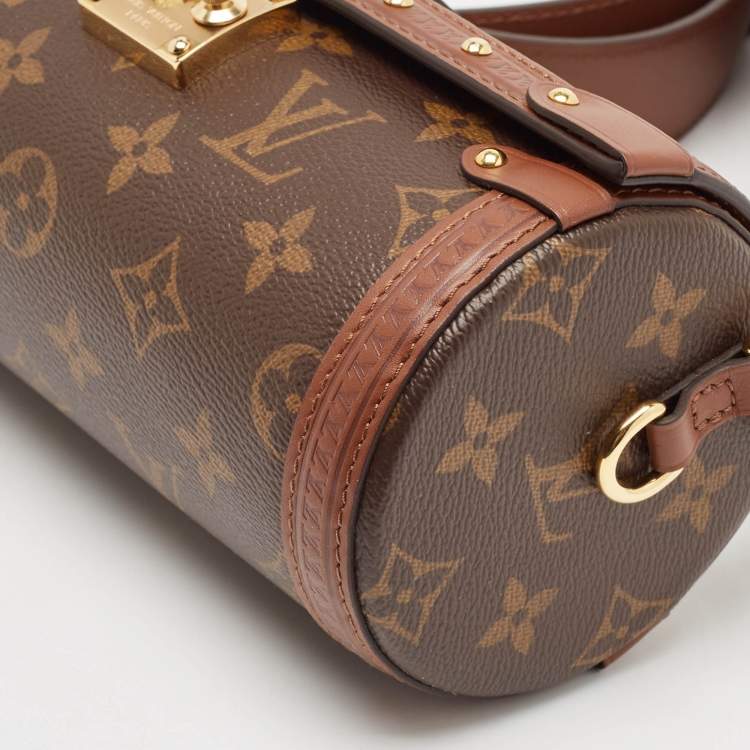 Pre Owned Louis Vuitton Monogram Canvas Papillon Trunk Bag