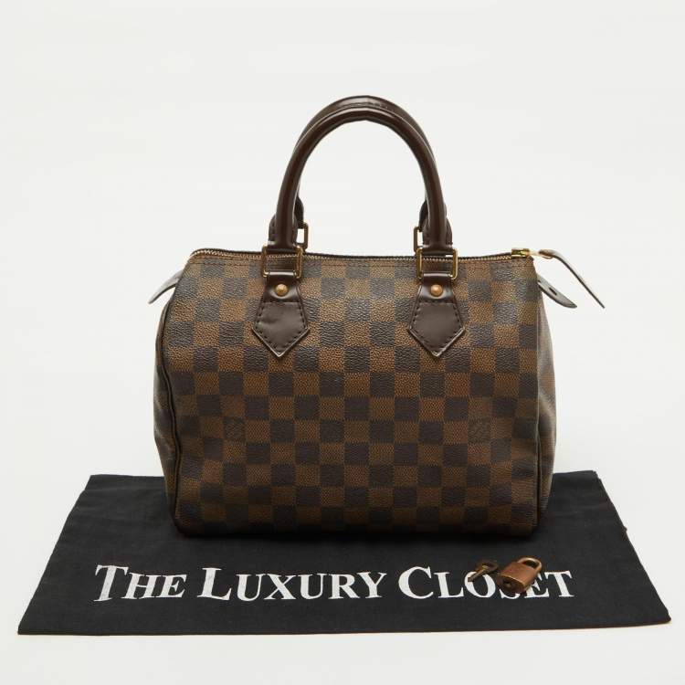 Pre Owned Louis Vuitton Damier Ebene Canvas Speedy 25 Bag